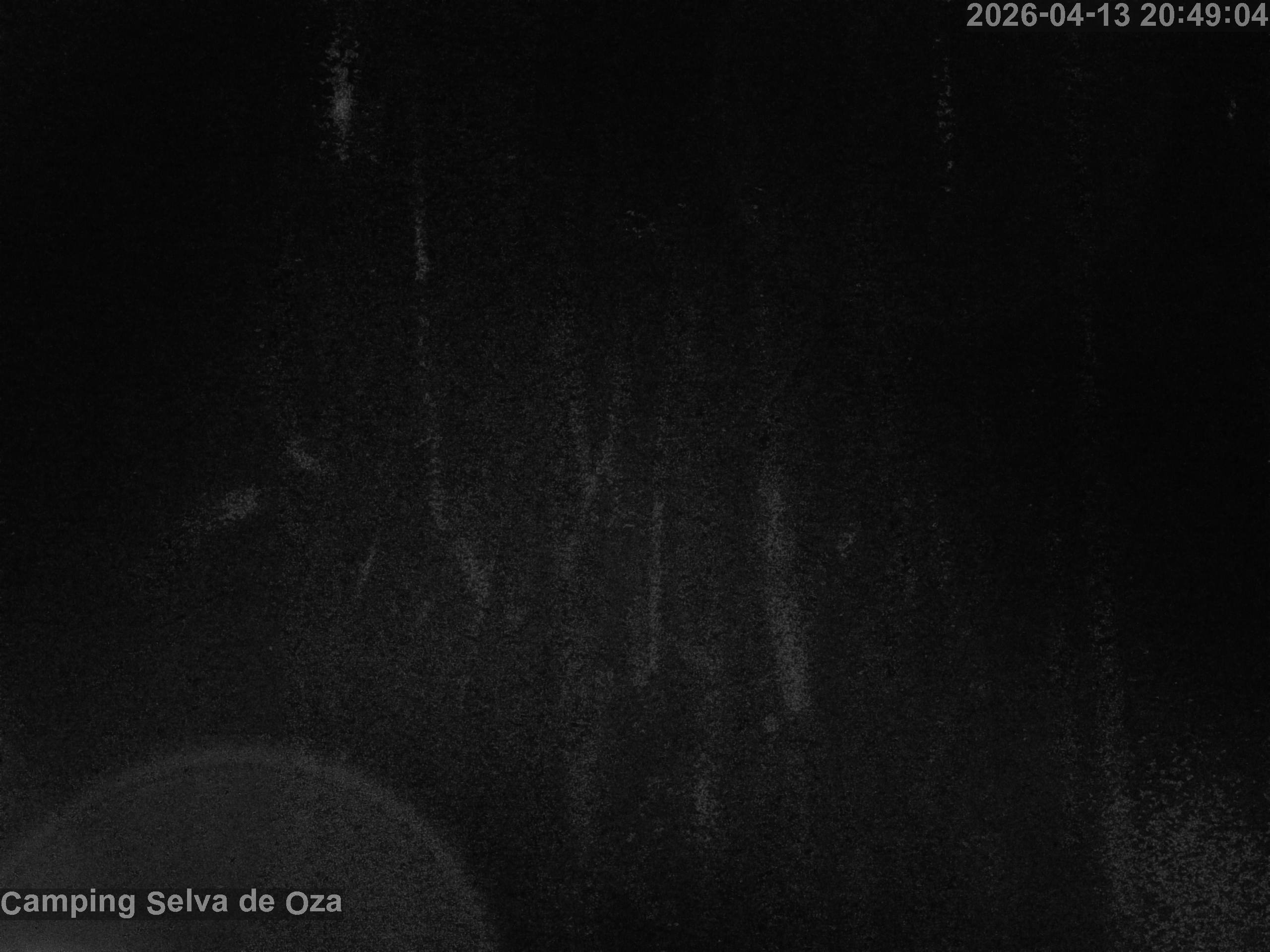 Imagen m�s reciente